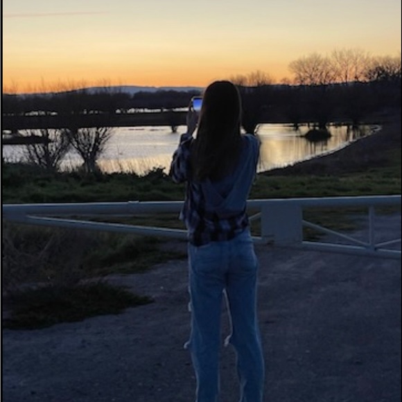 Meet your Posher, Belle - Picture 1 of 1